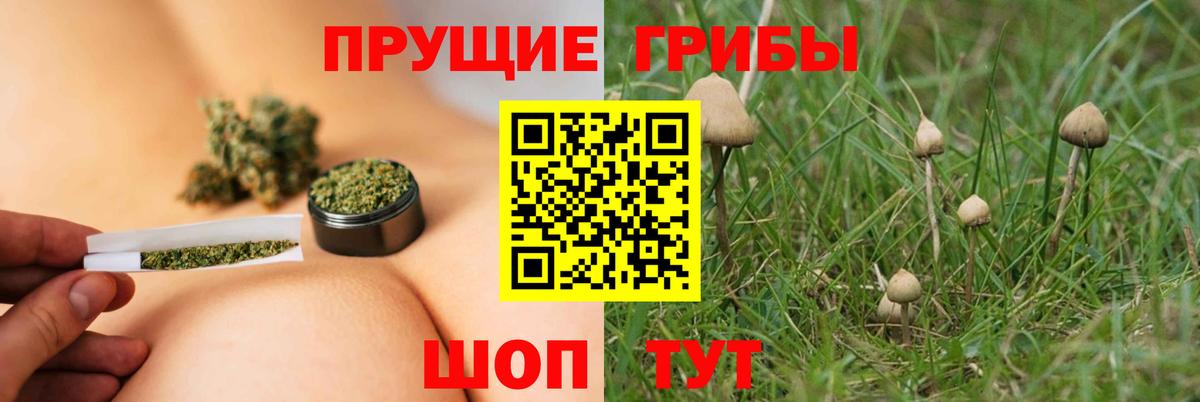 Псилоцибиновые грибы Magic Shrooms Кандалакша